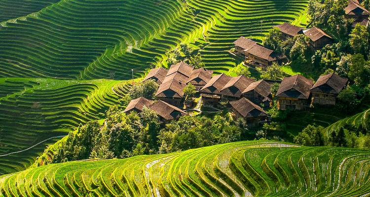 Terraced fields and wooden houses in a lush green setting.