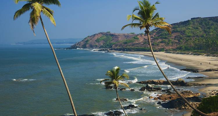 Playa arenosa bordeada de palmeras y promontorio rocoso contemplan las suaves olas a lo largo de la costa de Goa.