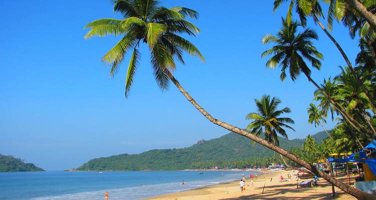 Playa tropical de Goa bordeada de palmeras y bañistas bajo un cielo azul brillante.
