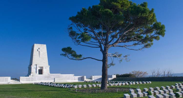 Memorial de guerra blanco y filas de cementerio junto a un pino solitario contra un cielo azul vívido.