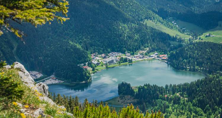 Una vista aérea de un lago de montaña rodeado de árboles.