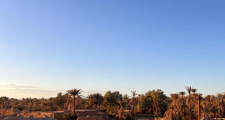 Palmbomen en een heldere hemel boven een woestijnlandschap.
