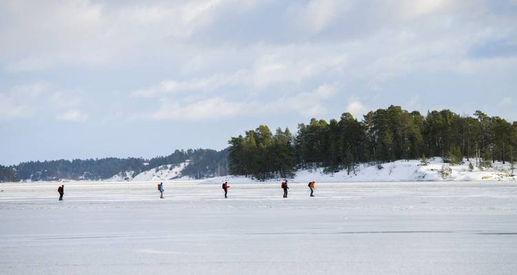 Groupe de personnes patinant sur un lac gelé avec des arbres.