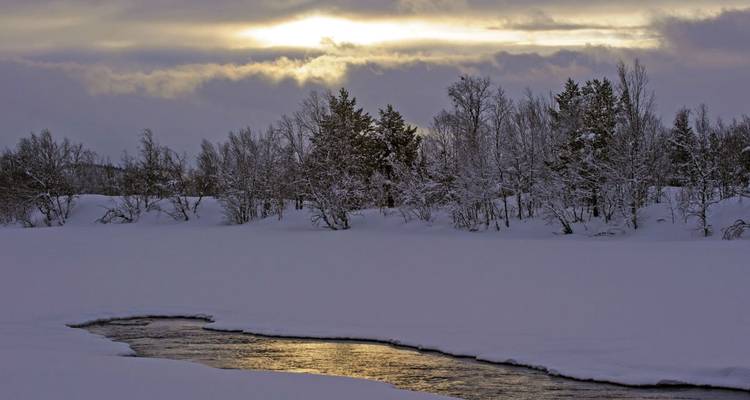 Forêt enneigée avec une rivière reflétant le crépuscule.