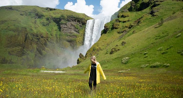 Personne dans un champ près d'une cascade par une journée ensoleillée.