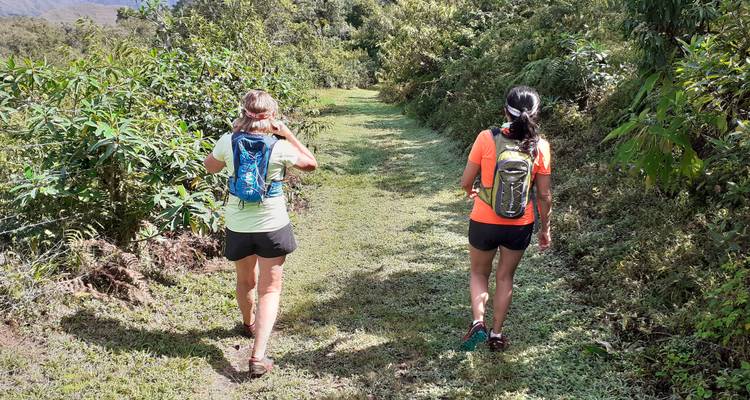 Zwei Frauen, die mit Rucksäcken einen Waldweg entlanggehen.