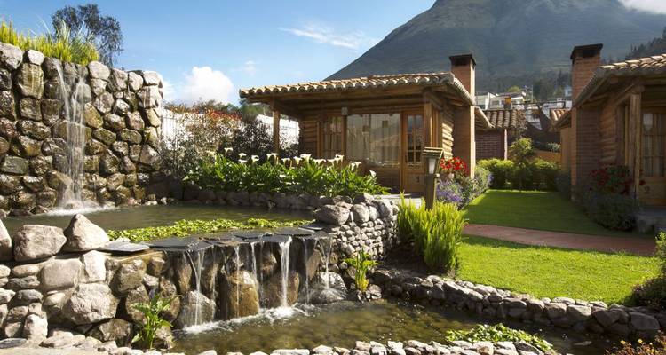 Beau jardin aménagé avec petite cascade, fleurs et toile de fond montagneuse pittoresque.