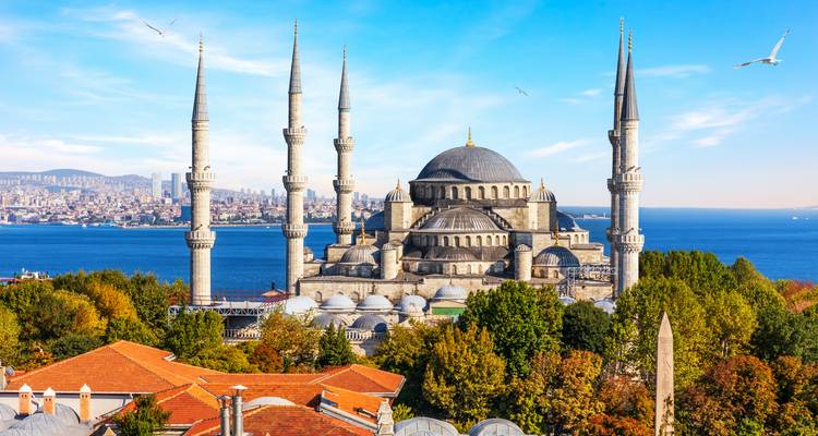 De Blauwe Moskee met zes slanke minaretten die boven de herfstbomen en de Bosphorus uitrijzen op een heldere dag.