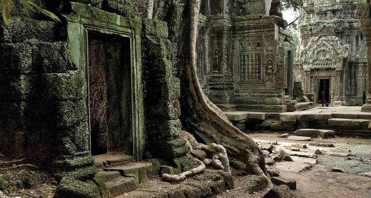 Ancient moss-covered doorway and tree roots within a quiet Angkor temple ruin.