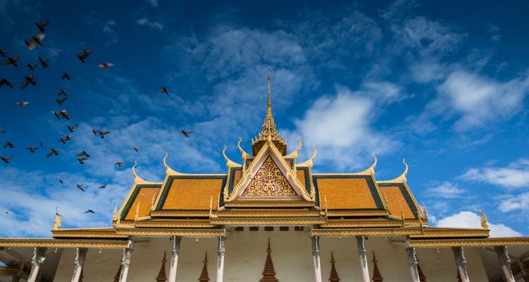 Toits de temple ornés contre un ciel bleu avec des oiseaux qui volent.