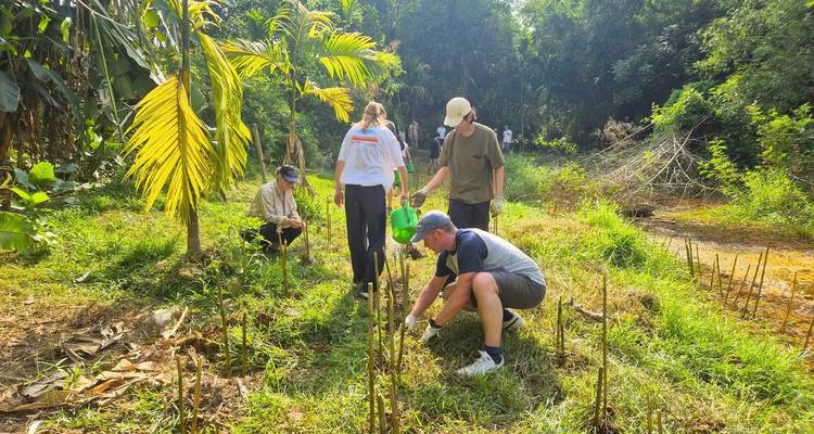Des personnes travaillant et plantant dans un jardin verdoyant luxuriant.