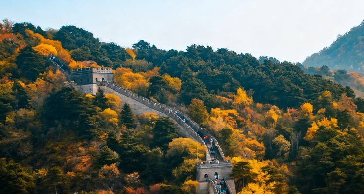 Great Wall of China stretching across a vibrant autumn forest.