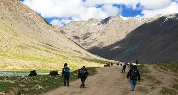 Trekking group walking along a mountain path with yaks resting nearby.