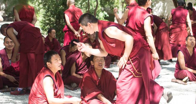 Group of monks in red robes engaging in activities outdoors.