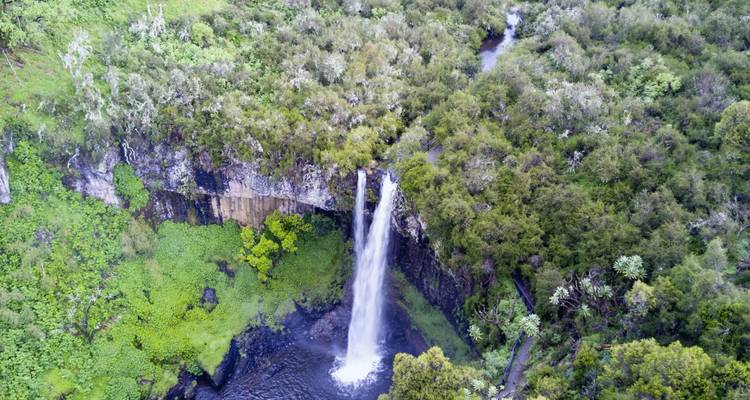 Ein Wasserfall, der eine Klippe hinunterfließt, umgeben von dichtem grünem Laub.