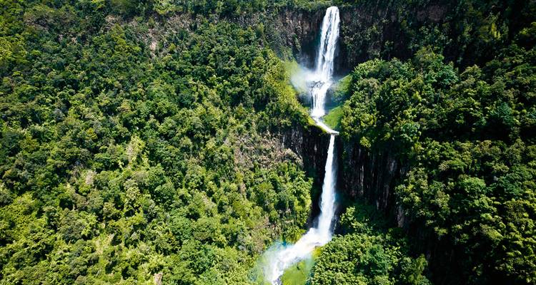 Ein hoch aufragender Wasserfall, der durch einen üppigen grünen Wald hinabstürzt.