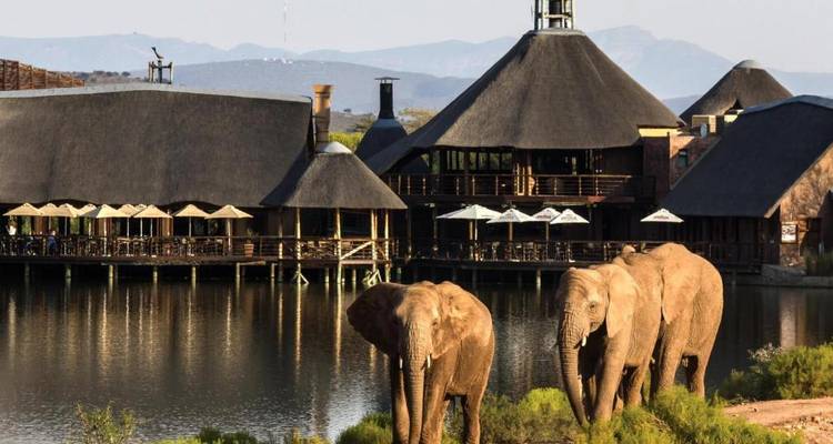African elephants walking near a thatched building by a water body.