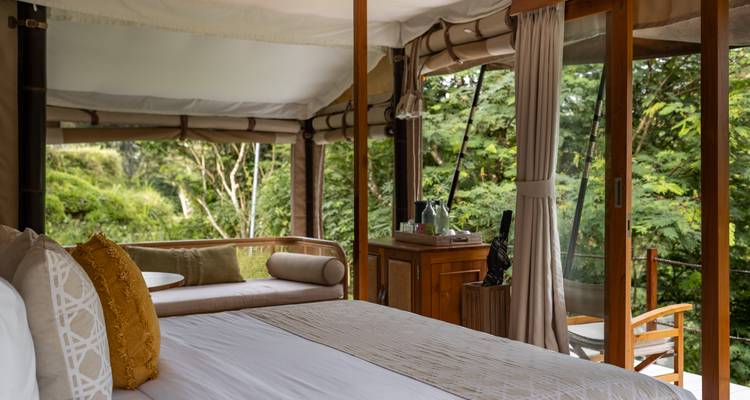 Intérieur de suite de tente de luxe avec vue sur une forêt luxuriante.