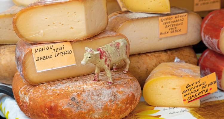 Assortment of artisanal cheeses on display at a market.