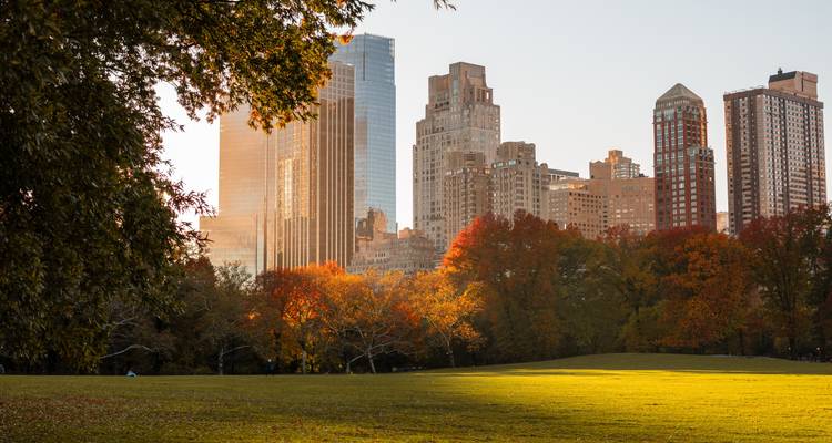 Central Park lawn glowing in late afternoon light with colourful autumn trees and Manhattan skyscrapers beyond.