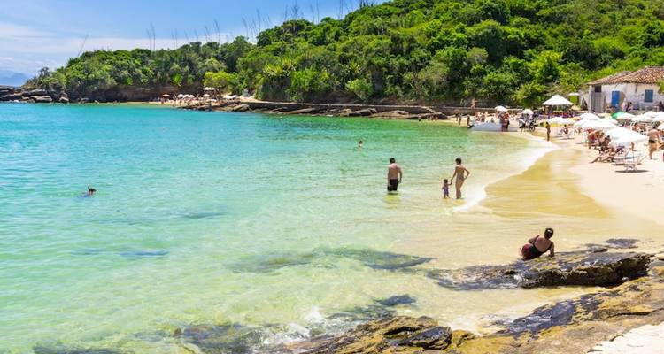 Calm beach with lush green background.