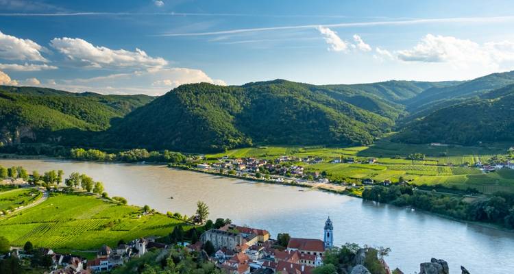 Vista panorámica sobre el Valle de Wachau con viñedos y el río Danubio bajo colinas boscosas