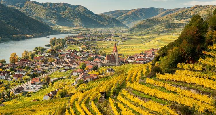 View of Wachau Valley's vineyards and town.