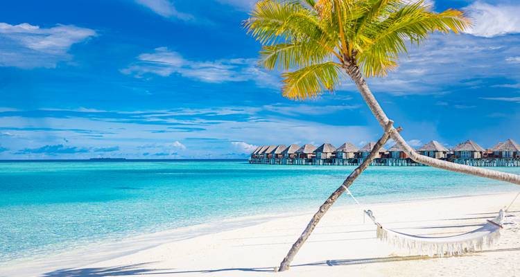 Tropisch strand met palmboom, hangmat en overwater bungalows.