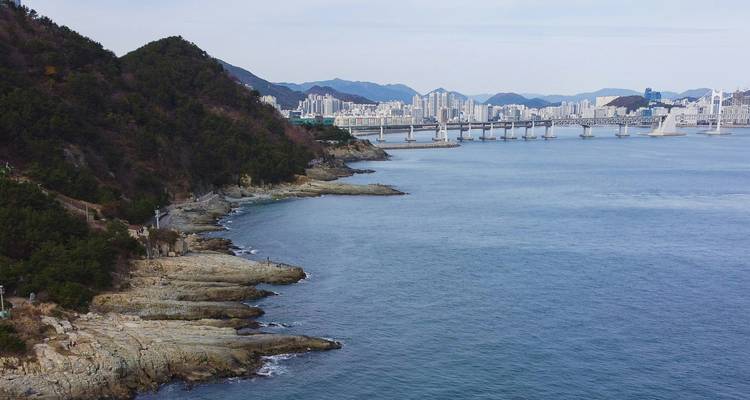 Vista costera con un paisaje urbano y un puente en la distancia.