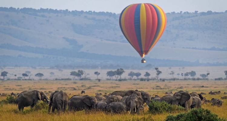 Olifantenkudde met een kleurrijke heteluchtballon op de achtergrond, savannelandschap.
