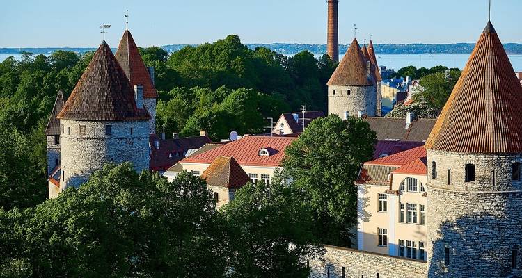 Blick auf mittelalterliche Steintürme, umgeben von Bäumen.