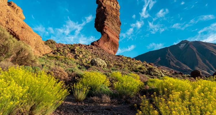 Formation rocheuse unique dans un paysage désertique avec des plantes à fleurs.