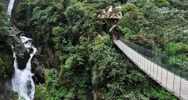 Suspension bridge over a waterfall in a lush forest.