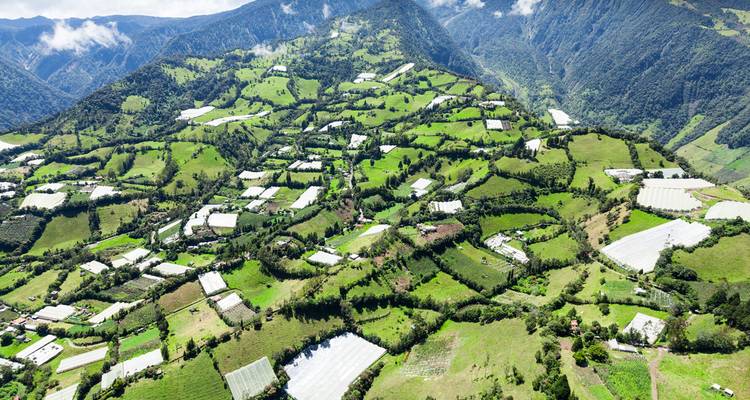 Aerial view of lush green farmland with clear skies.