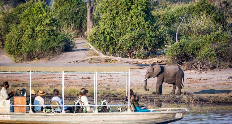 Tourists on a boat watching an elephant by the riverbank.