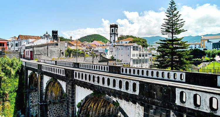Pont historique avec bâtiments traditionnels et un grand arbre