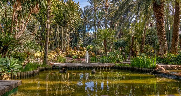 Lush botanical garden with a pond and various plant species.