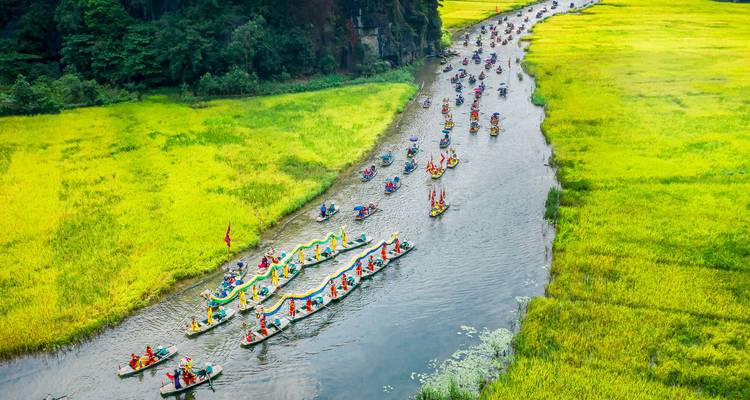 Des pirogues dans une rivière étroite entourée de champs d'un vert éclatant.