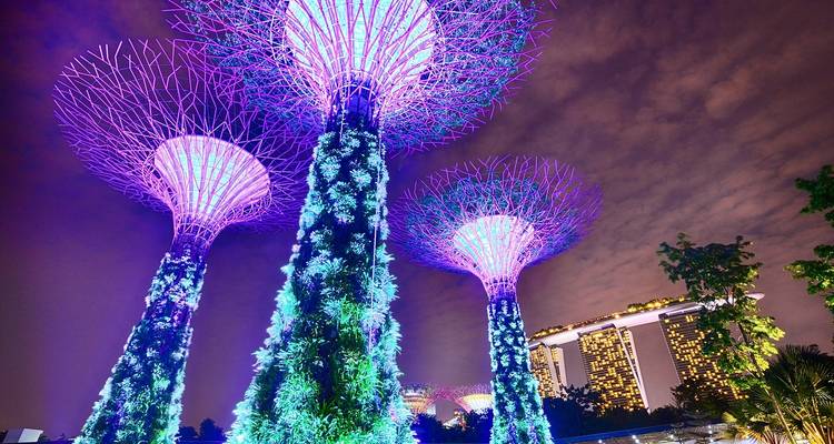 Des Supertrees aux éclairages vibrants s'élèvent dans un ciel nocturne aux teintes violettes aux Gardens by the Bay.