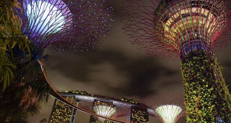 Levant les yeux vers les Supertrees lumineux couverts de verdure contre un ciel nocturne atmosphérique avec Marina Bay Sands en arrière-plan.