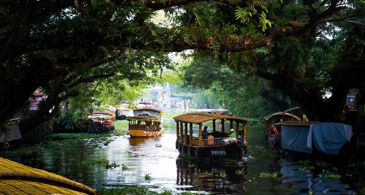 Boats on a river surrounded by lush greenery