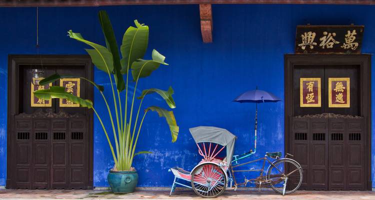 Street with a blue building and a bicycle, decorated with plants.