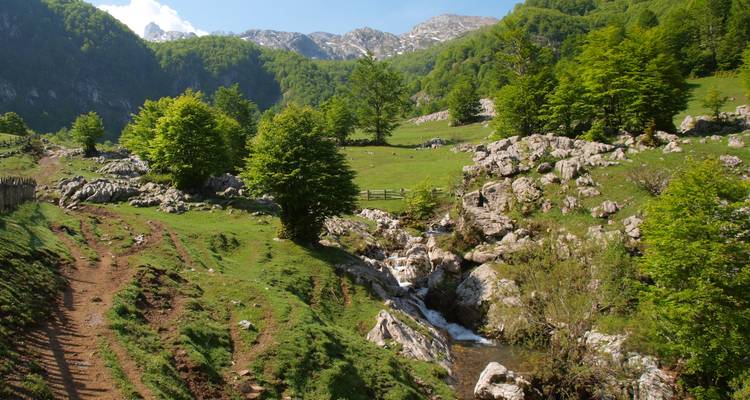 Üppiges grünes Tal mit Bach und zerklüfteten Hügeln.