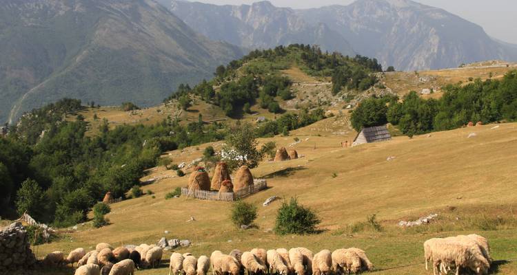 Pastorale Szene mit grasenden Schafen und Menschen in einer Berglandschaft.
