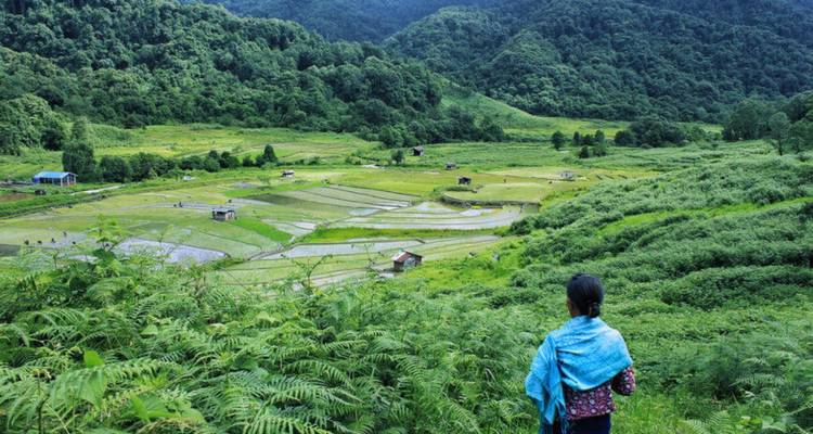 Person looking over terraced fields and dense forest in a mountainous region.