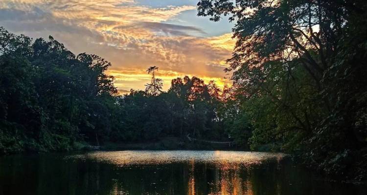 Vue panoramique d'une rivière entourée d'arbres au coucher du soleil.