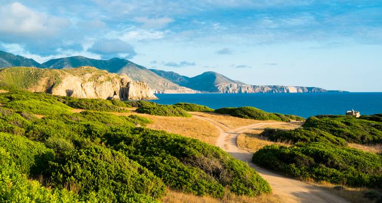 Le sentier mène à travers la verdure jusqu'au littoral avec des falaises.