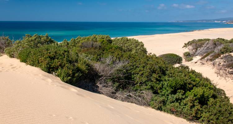 Plage avec des dunes de sable et l'océan.