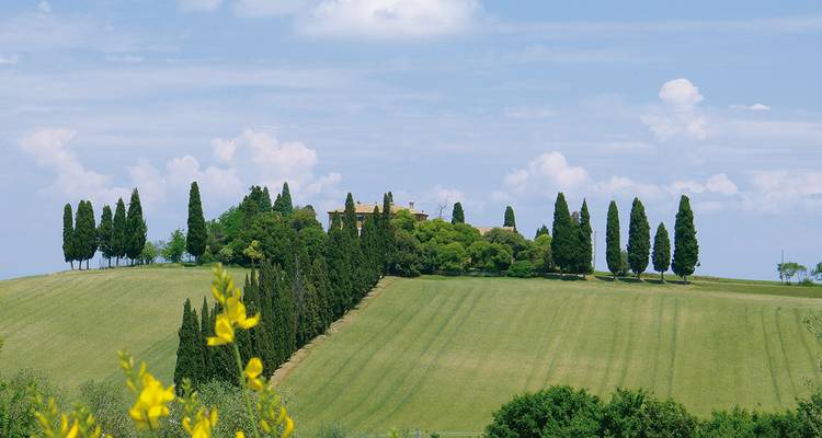 Rolling hills with trees and a distant building under a blue sky.