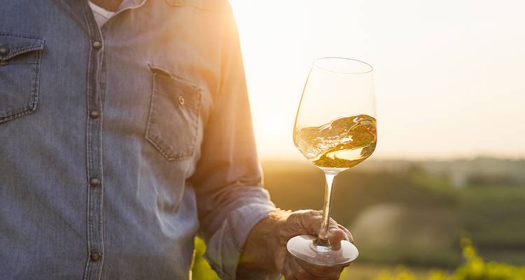 Person holding a wine glass with a scenic vineyard in the background during sunset.